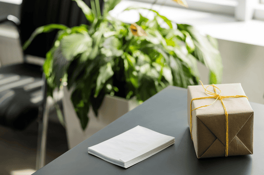 Sustainable Corporate Gift options