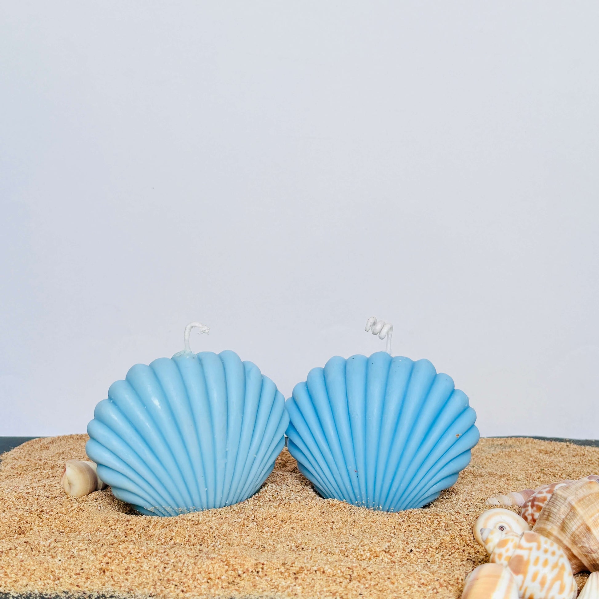 Beach-inspired shell candle, perfect for nautical decor, ocean-themed weddings, and spa-like ambiance