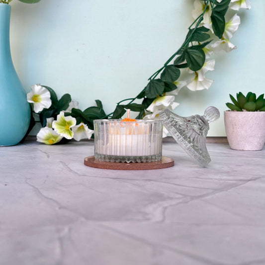 Royal Daisy Candles